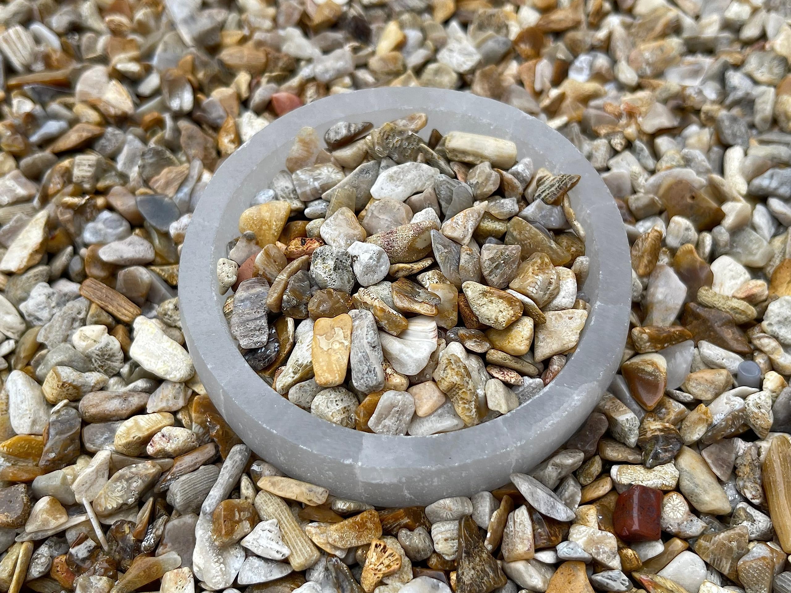 Natural Semi Tumbled Fossil Coral Gemstone Chips - 2 oz Lot, Undrilled Crystal Chips