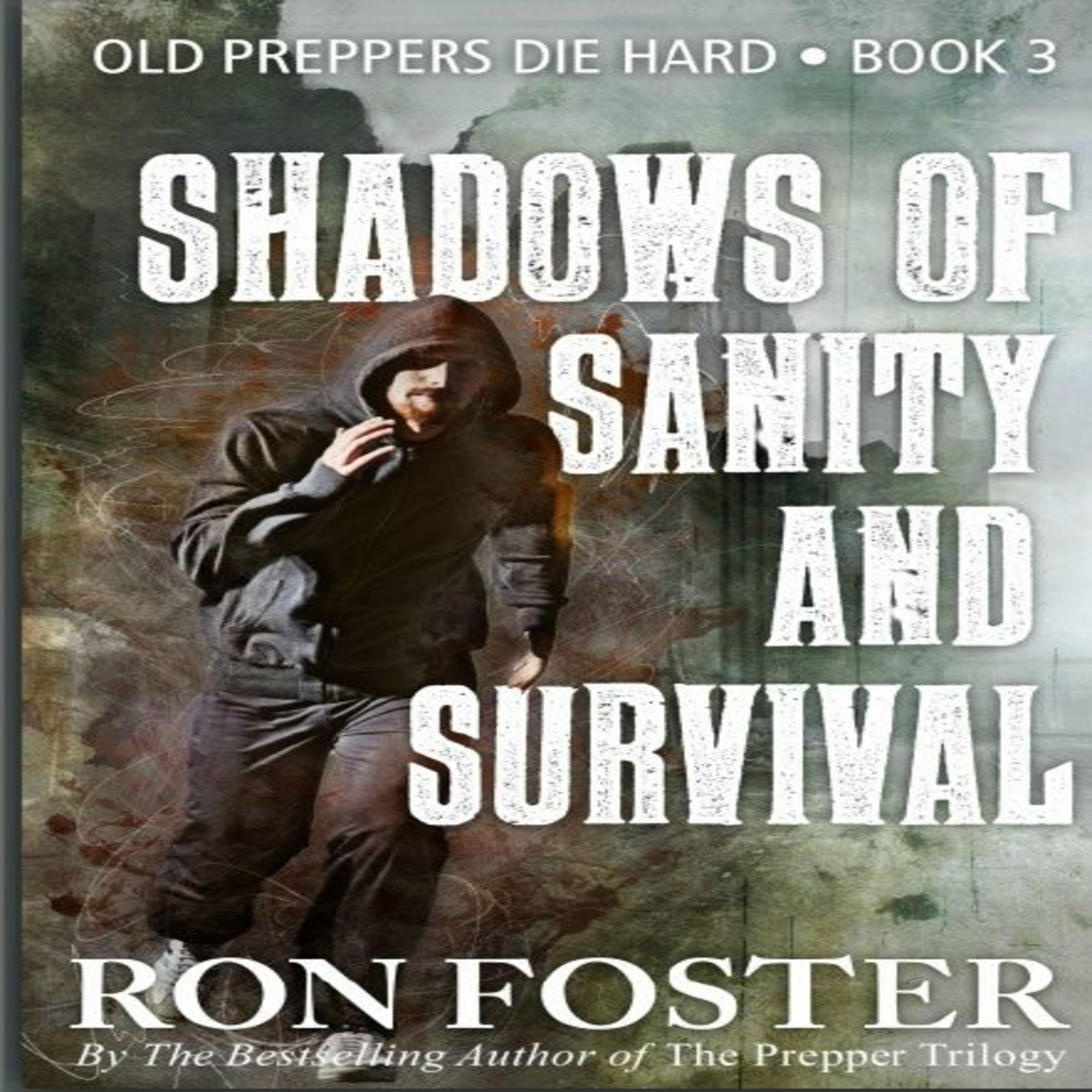 Cover art for Shadows of Sanity and Survival
