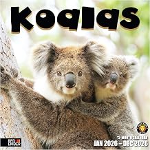 RED EMBER Koalas 2026 Wall Calendar 12 Month | 12 x 24 Open | Thick & Sturdy Paper | Giftable | Kids Cute Koala Bear Animal Calendar 2026