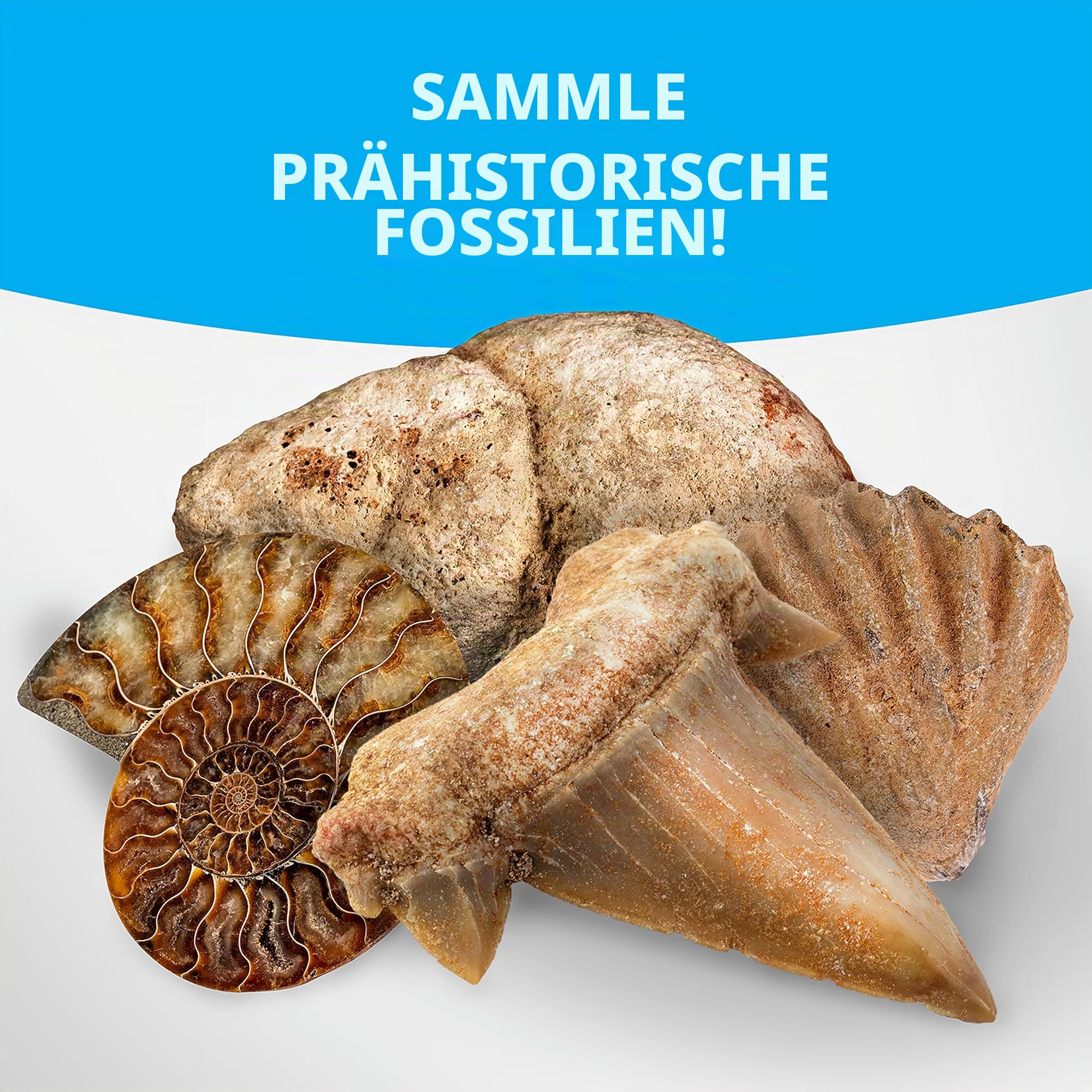 NATIONAL Geographic Edelsteine und Fossilien Set - 300-teiliges Set mit Geoden und Echten Fossilien -Rosenquarz Jaspis Aventurin - Viele Weitere Kristalle und Edelsteine für Kinder | Echte Felsen, Mineralien & Kristalle, 2 aufbrechbare Geoden, Lupe, Aufbe