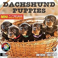 Vista 55 de RED EMBER Calendario de pared 2025 con diseño de cachorros de 12 meses, 12 x 24 pulgadas, abierto, papel grueso y resistente, para regalo