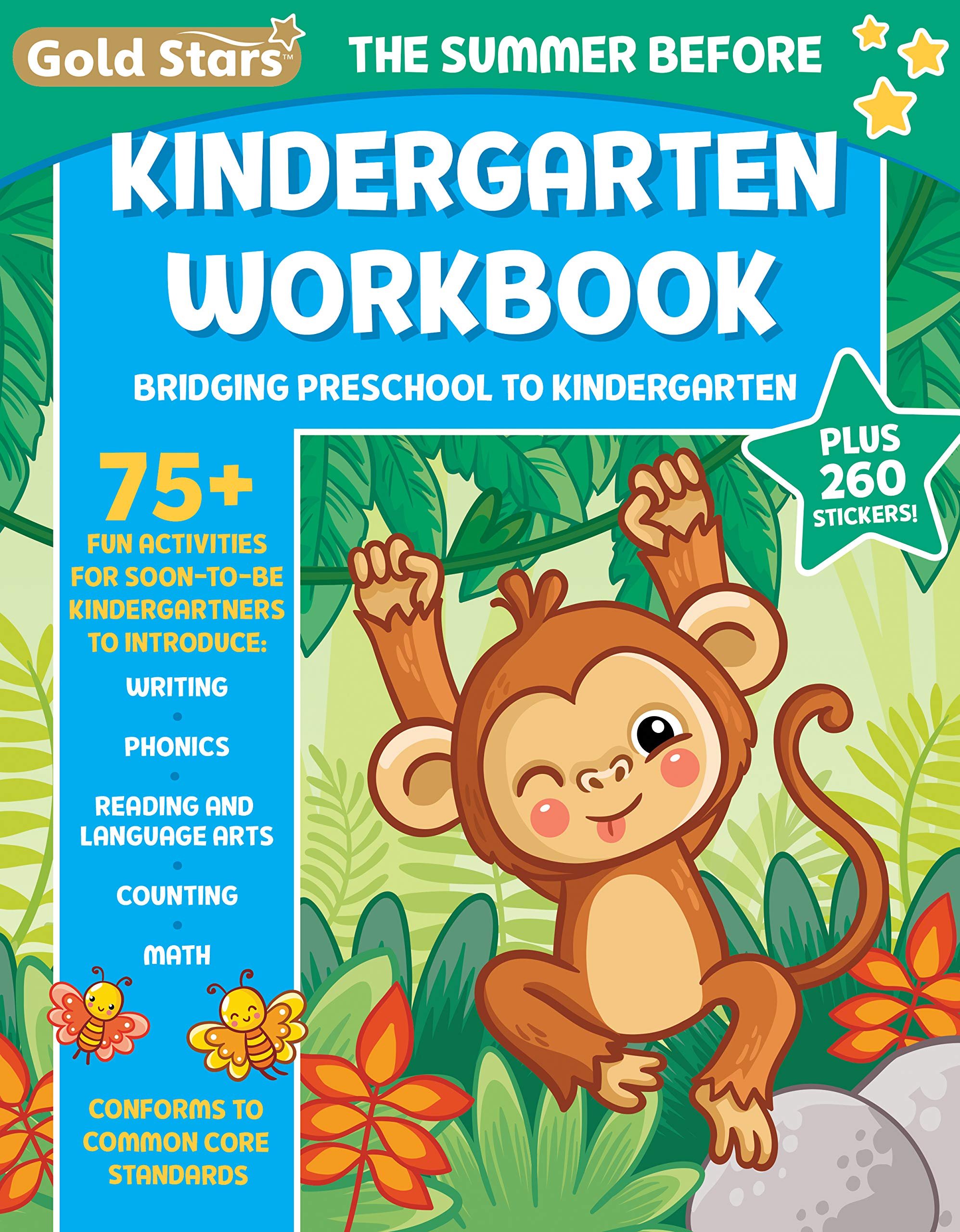 Buy The Summer Before Kindergarten Workbook Bridging Preschool To