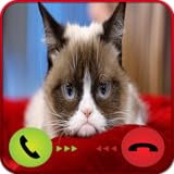 Calling From Grumpy Cat