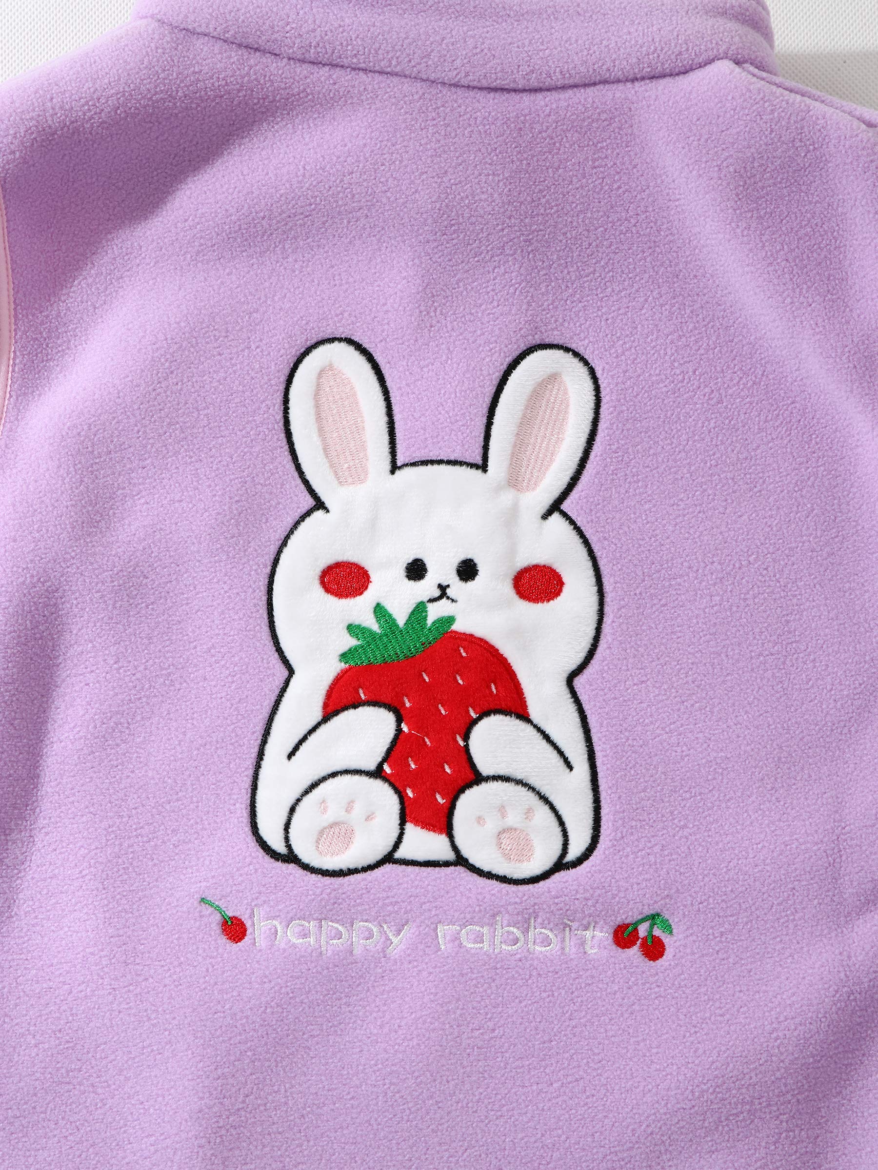Chaleco de Forro Polar para Bebé Niño Pequeños Niño Niña Chaleco Polar con Cremallera y Cuello Alto Chaqueta Sin Mangas Patrón de Dibujos Animados Talla del Fabricante 80/86/92/98/104/110/116/122/134