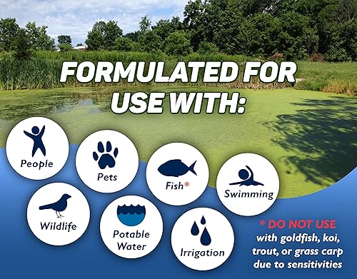 Miniatura 4 de Crystal Blue alguicida de sulfato de cobre granular para control de algas en estanques, 5lbs