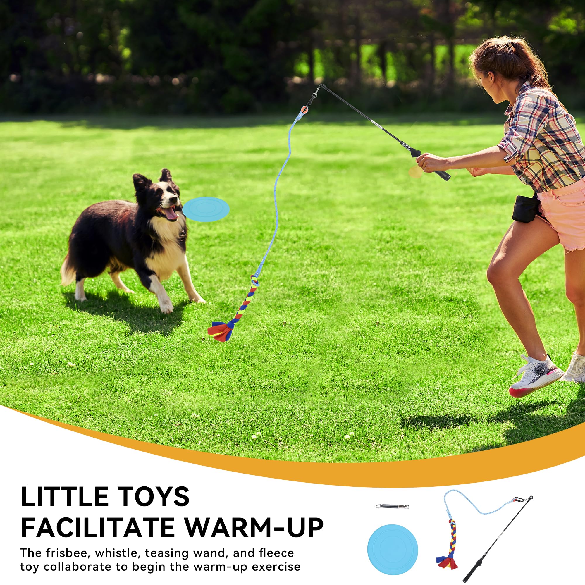 Snapklik.com : Dog Agility Kit: Includes Flirt Pole Accessorie, 2 ...