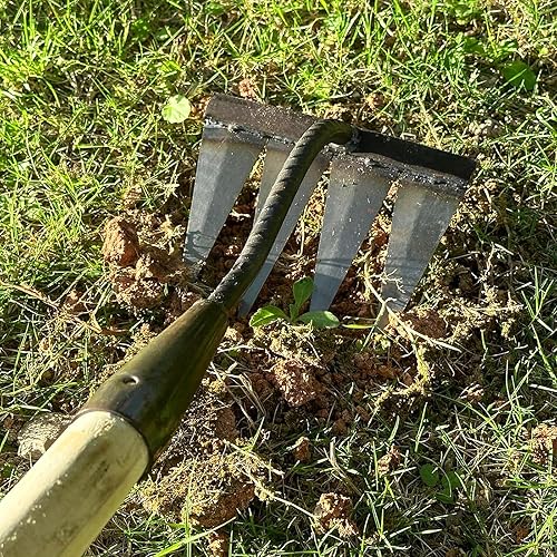 Miniatura 4 de Rastrillo de hierro, 4 dientes y 6 púas, rastrillo de mano de jardín de carbono, rastrillo de mano de alta resistencia, rastrillo de azada de