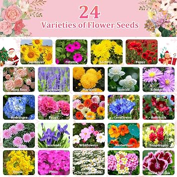 Seeds Advent Calendar 2026 Christmas Countdown - Non-GMO Heirloom Seeds 24 Types of Perennial Flower Seeds for Planting - Unique Christmas Garden Hanging Decoration for Women Adults Kids Family