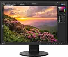 ディスプレイ・モニター本体 ColorEdge CS2400S Amazon.com: Eizo ColorEdge CS2400S 24.1