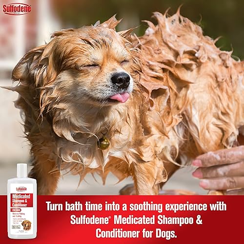 Miniatura 3 de Farnam Sulfodene Champú y acondicionador medicado para perros 12oz, blanco