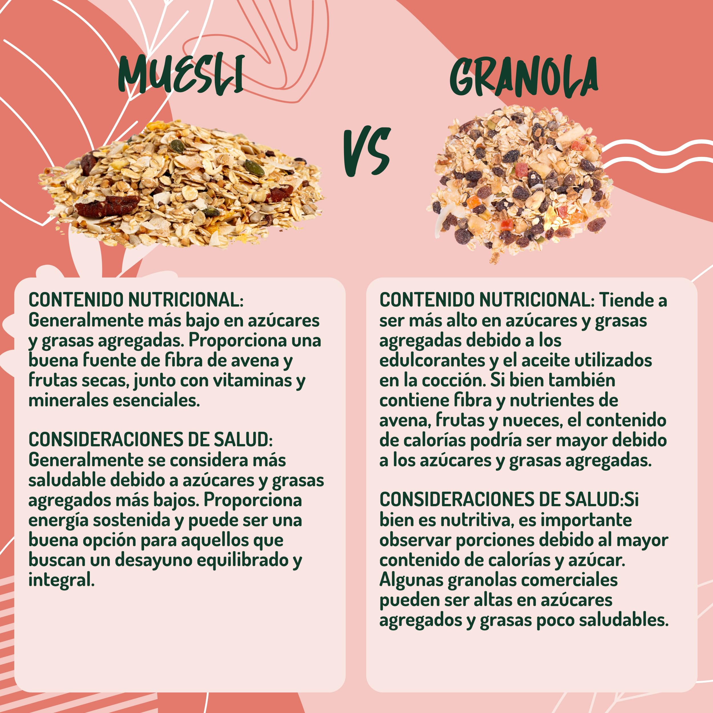 Muesli de Frutos Secos sin Azucar - 325g. Muesli con Copos de Avena Copos de Centeno y Coco con Granos de Avellana Semillas de Calabaza Anacardos Granos de Cacao en Trozos Almendras y Pecanas.
