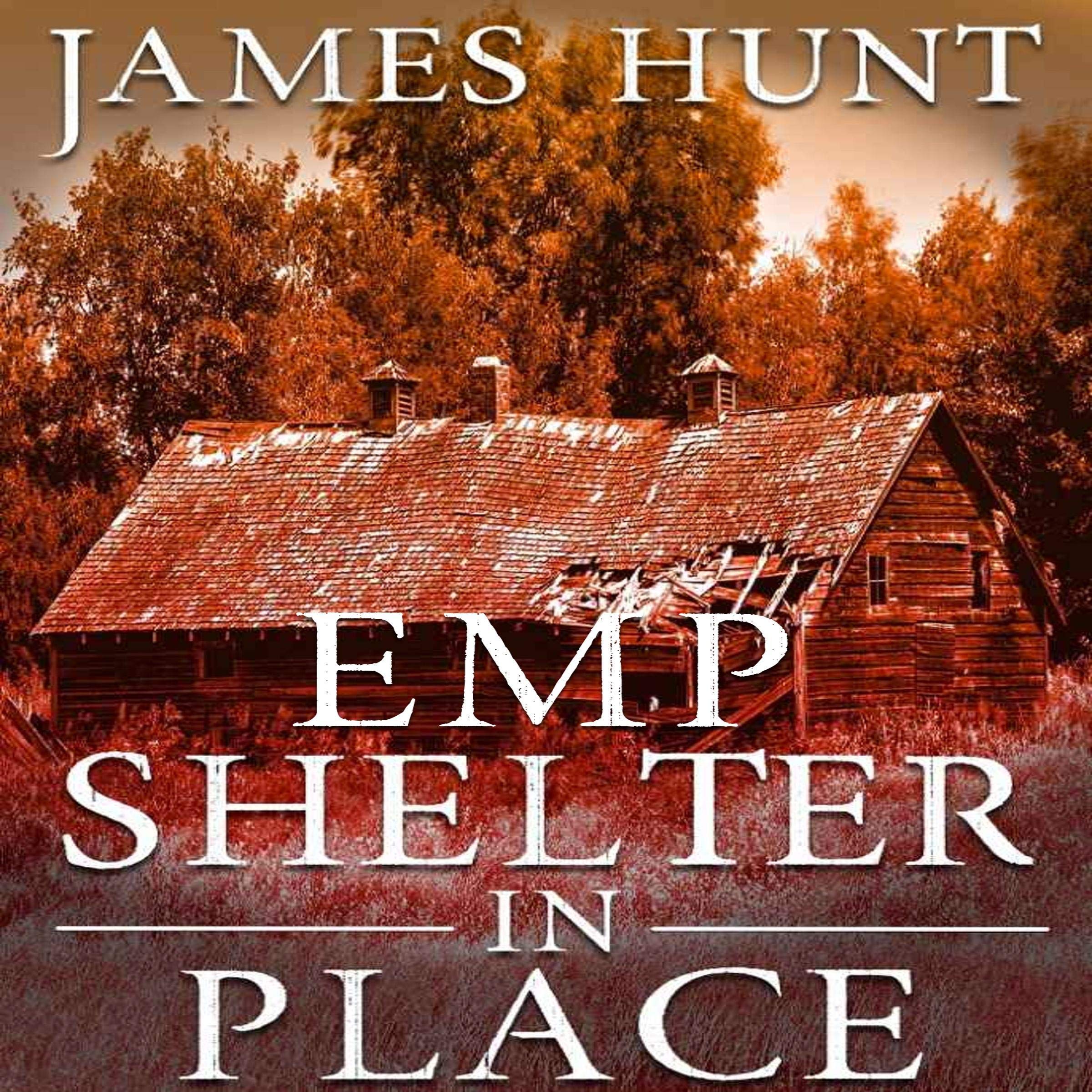 Cover art for EMP Shelter In Place