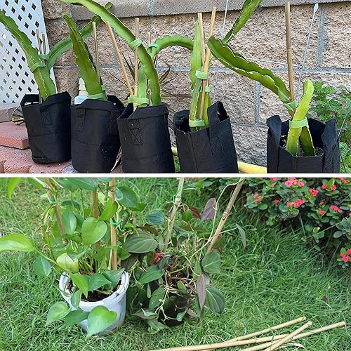 Miniatura 6 de 50 estacas de bambú para plantas de interior y exterior, palos de bambú de 0.32 a 0.4 pulgadas, 3 pies, estacas de soporte de jardín, postes de