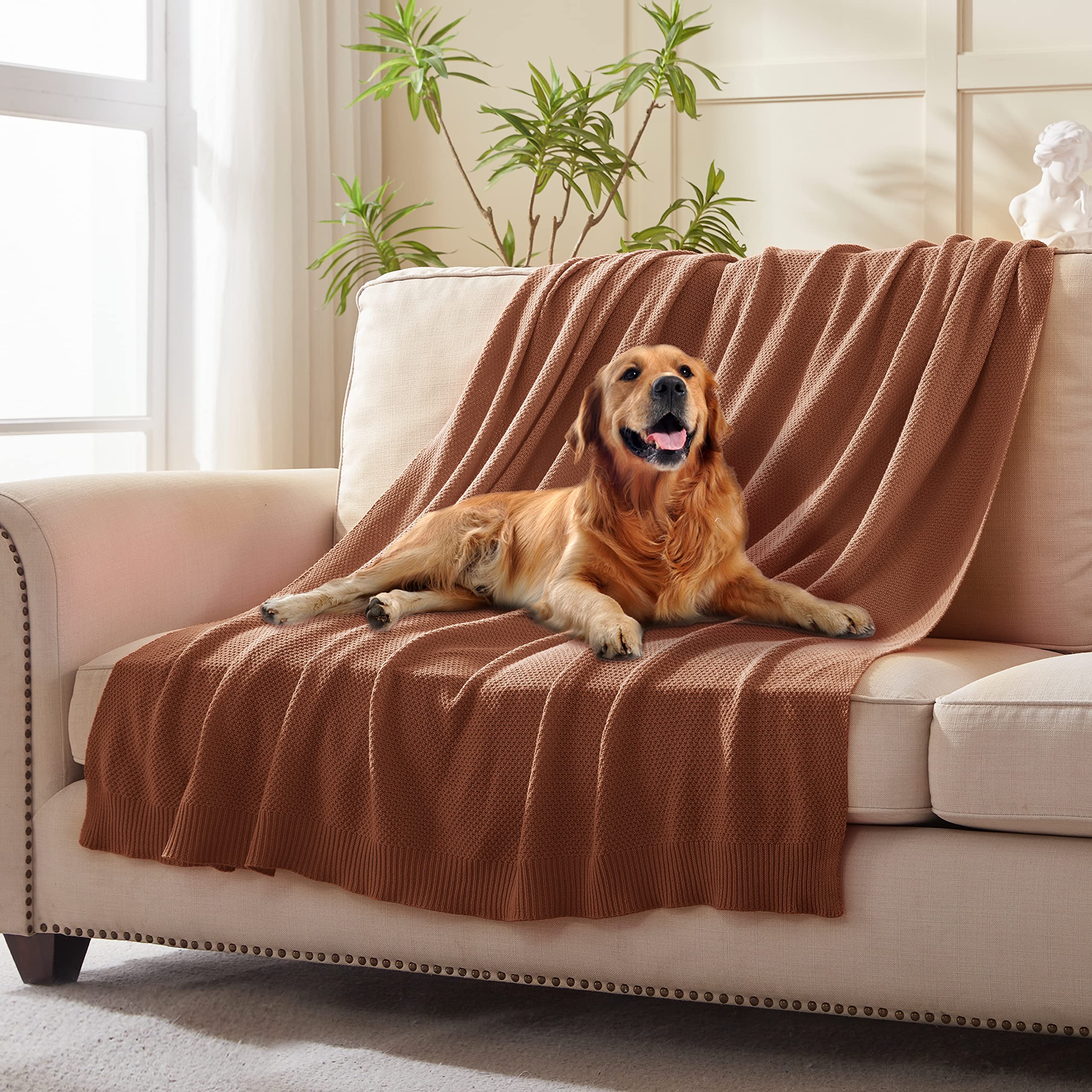 TREELY 100% Cotton Knitted Throw Blanket for Couch Chair Bed Home Decorative, Soft & Cozy Knit Throw Blanket(60"x80", Brown)