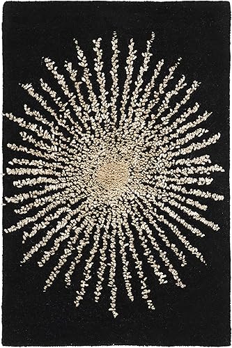 SAFAVIEH Soho Collection SOH655Z - Alfombra decorativa de lana y viscosa de 2 x 3 pies, color negro y beige