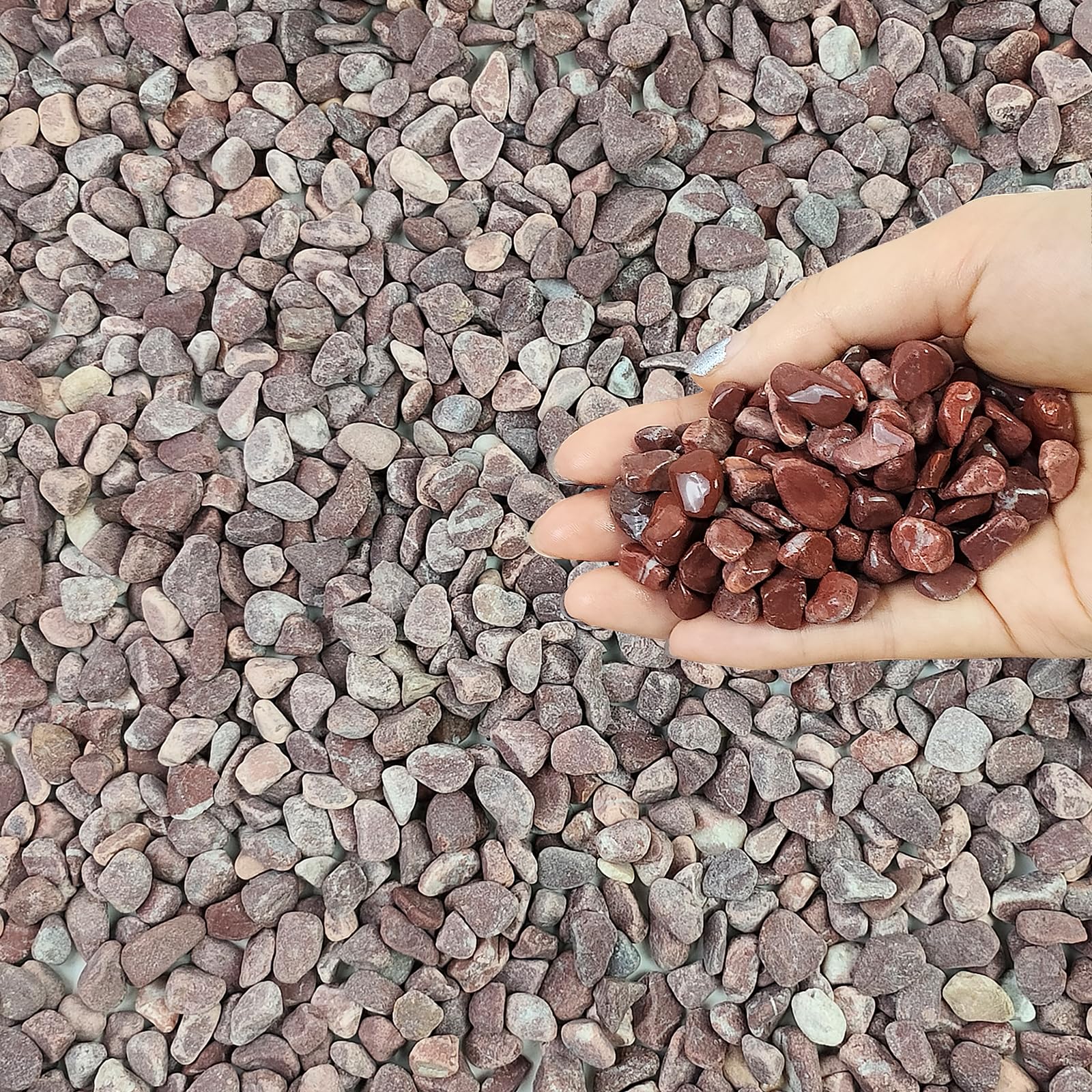 FANTIAN 2 lbs Succulent and Cactus Pebbles Gravel, 6-9 mm Decorative Red River Rocks for Plants Indoor Vases, Terrarium