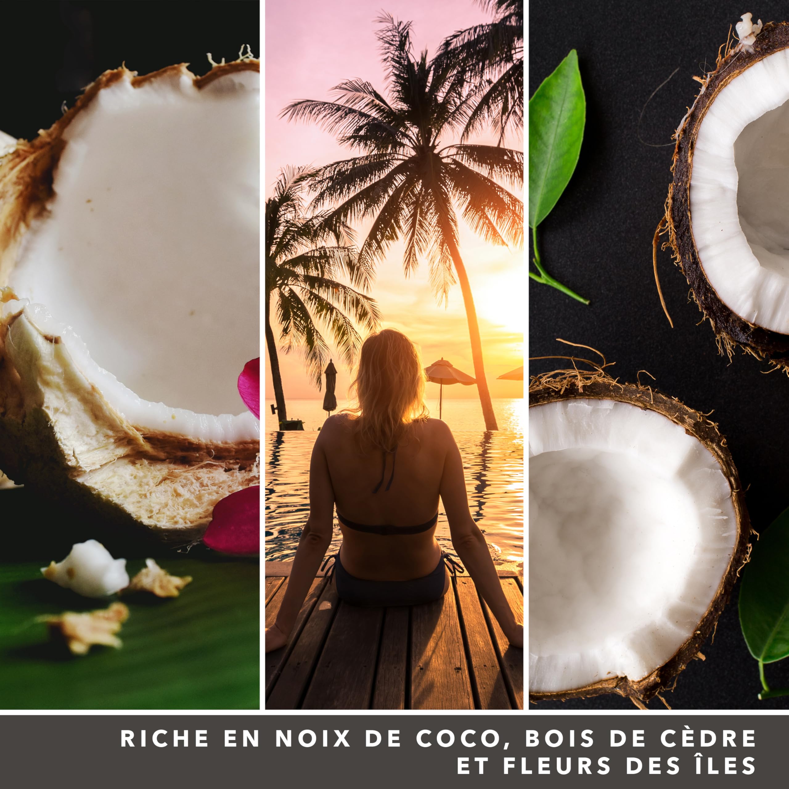 Yankee Candle bougie parfumée Noix de coco noire | Format jarre | Bougie longue durée jusqu’à 150 heures de combustion | Cadeaux pour femmes