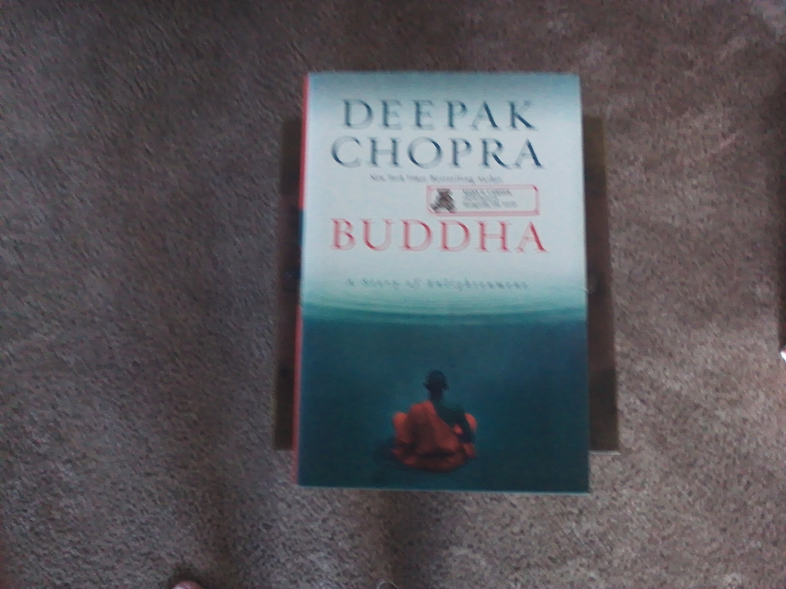 Buddha: A Story of Enlightenment (Enlightenment Series, 1)