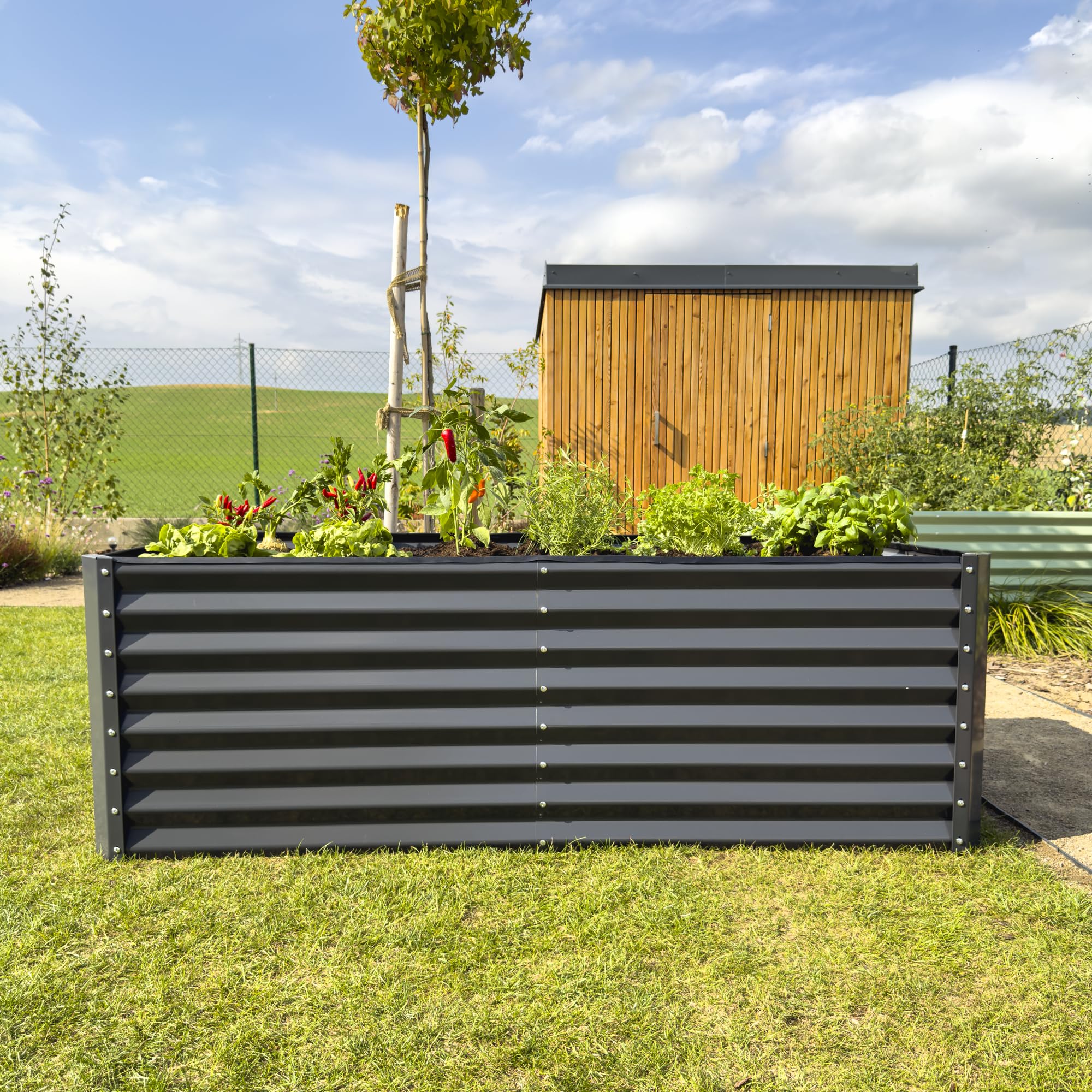 AREBOS Letto rialzato in metallo 180x90x79 cm | letto da giardino in acciaio zincato | letto per piante resistente alle intemperie e alla ruggine | letto rettangolare per orto e patio