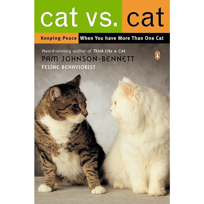 Buy Cat vs. Cat Keeping Peace When You Have More Than One Cat Online