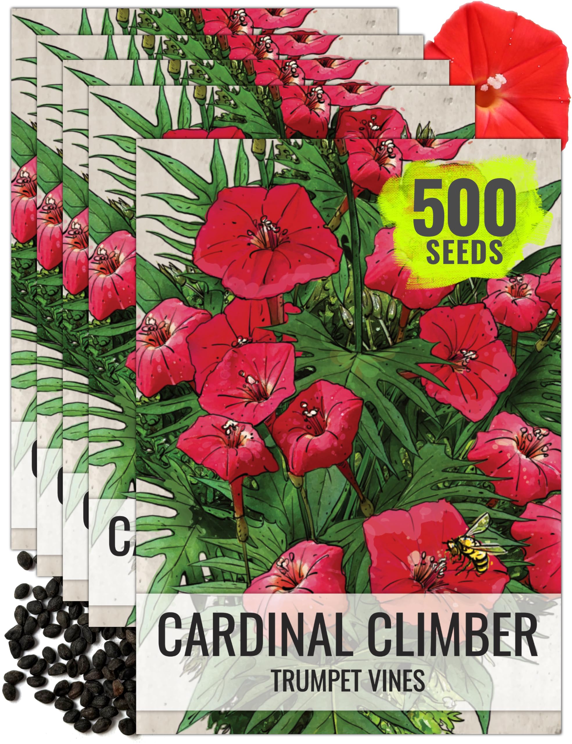 Seed Needs Cardinal Climber Seeds