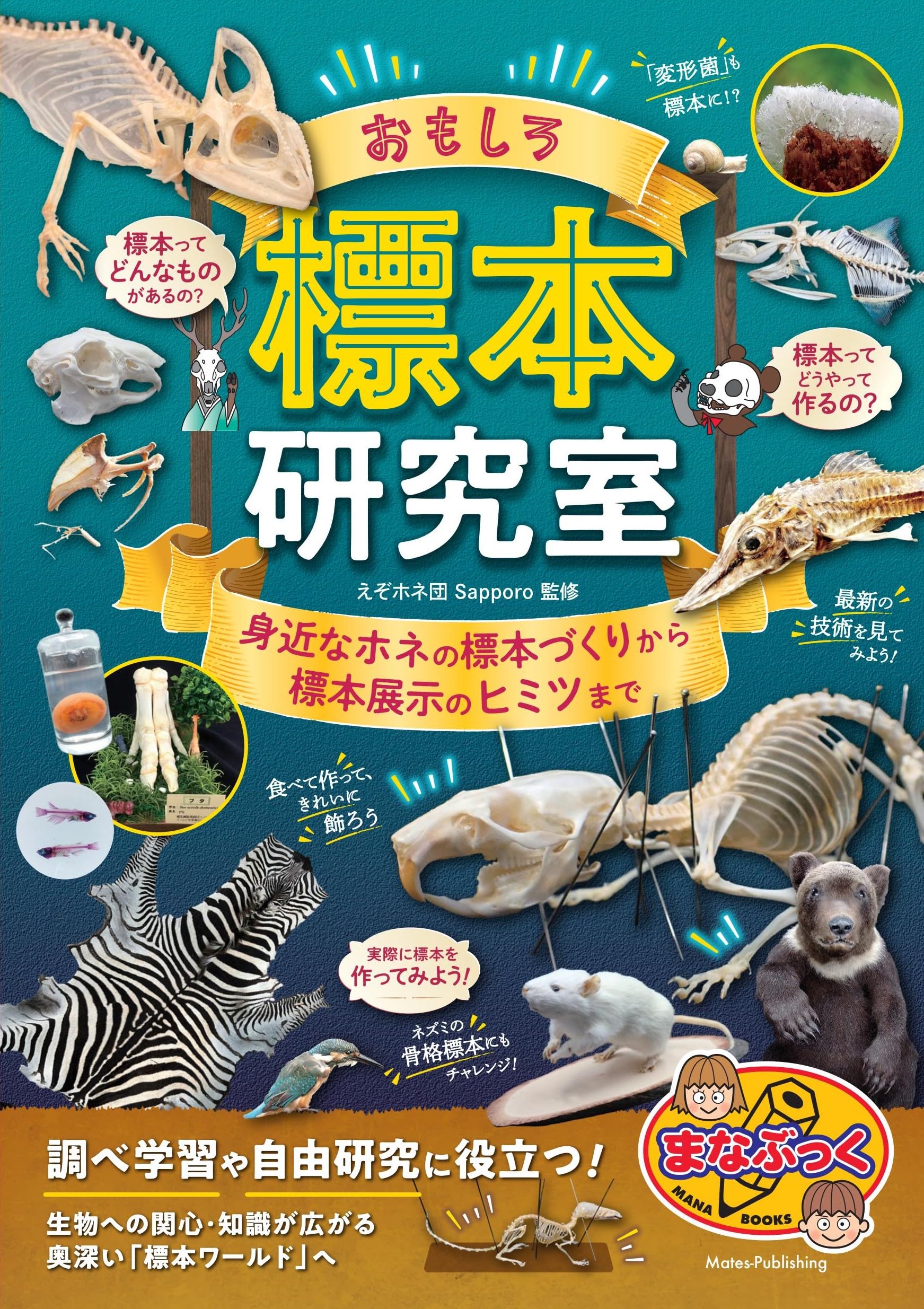 Amazon.co.jp: おもしろ標本研究室 身近なホネの標本づくりから標本
