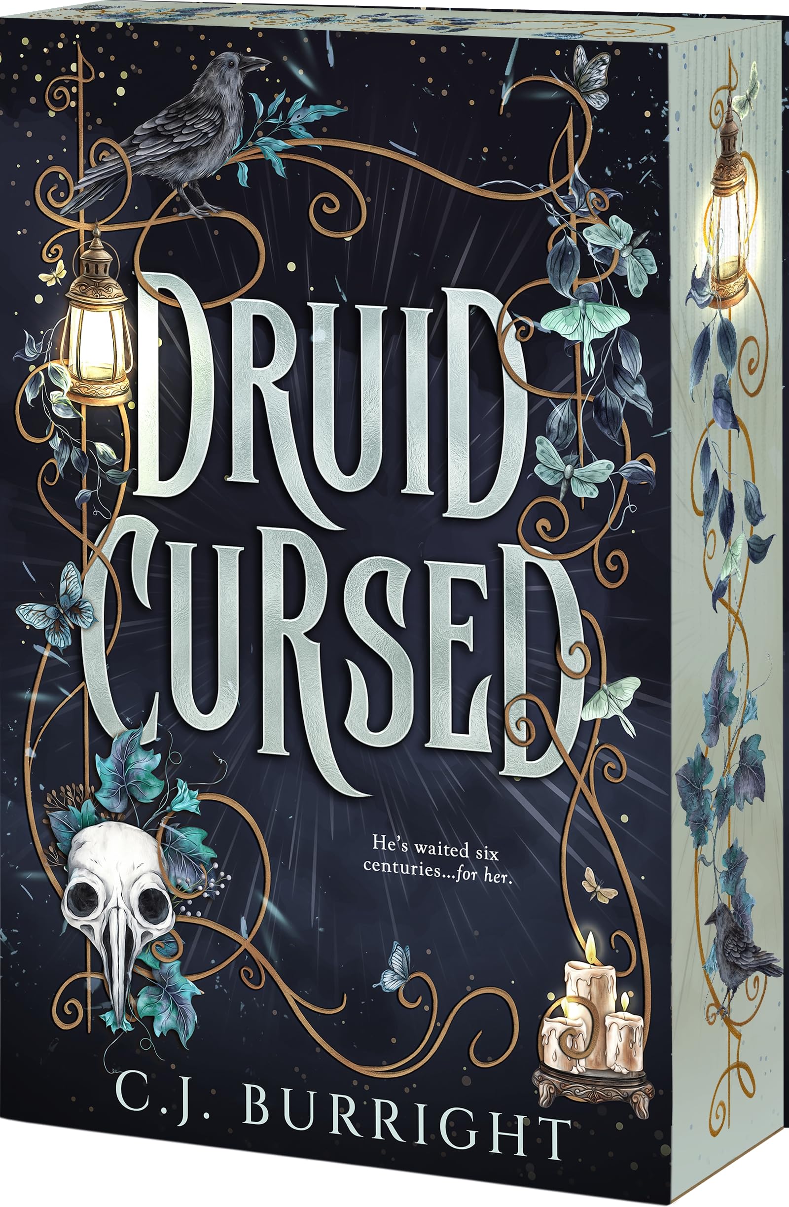 Cover of Druid Cursed