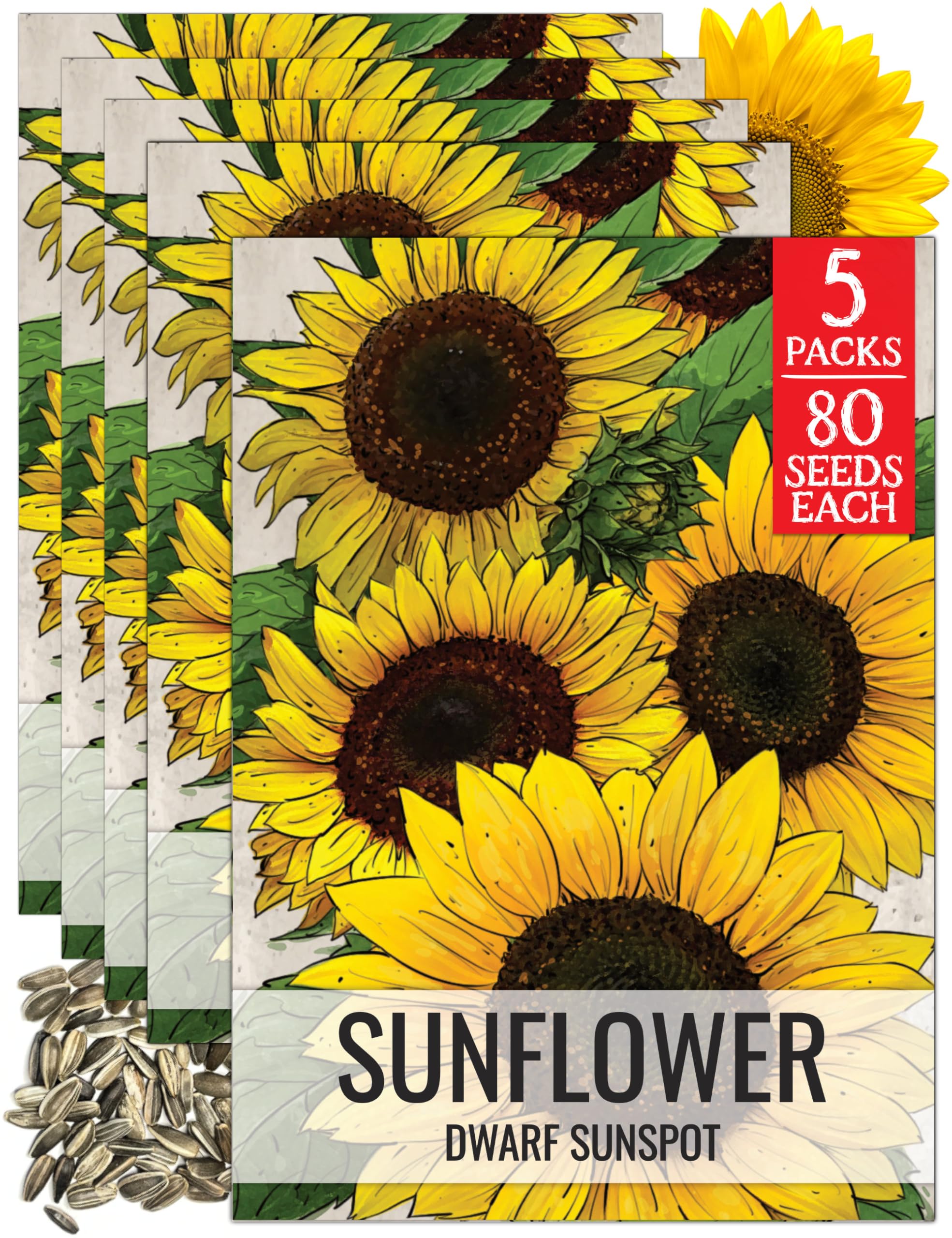 Seed Needs Dwarf Sunspot Sunflower