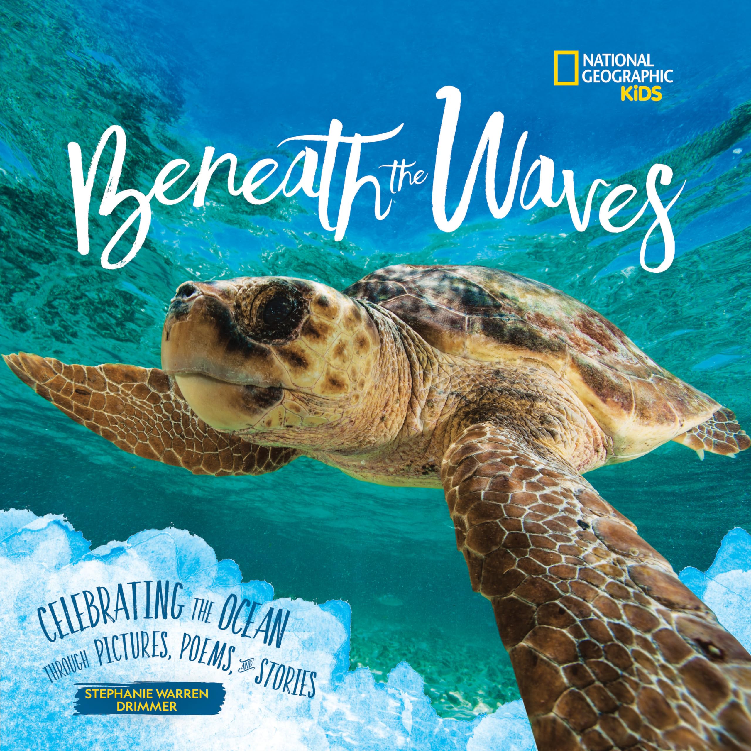 Beneath the Waves: Celebrating the Ocean Through Pictures, Poems, and Stories (Ngk Poetry)