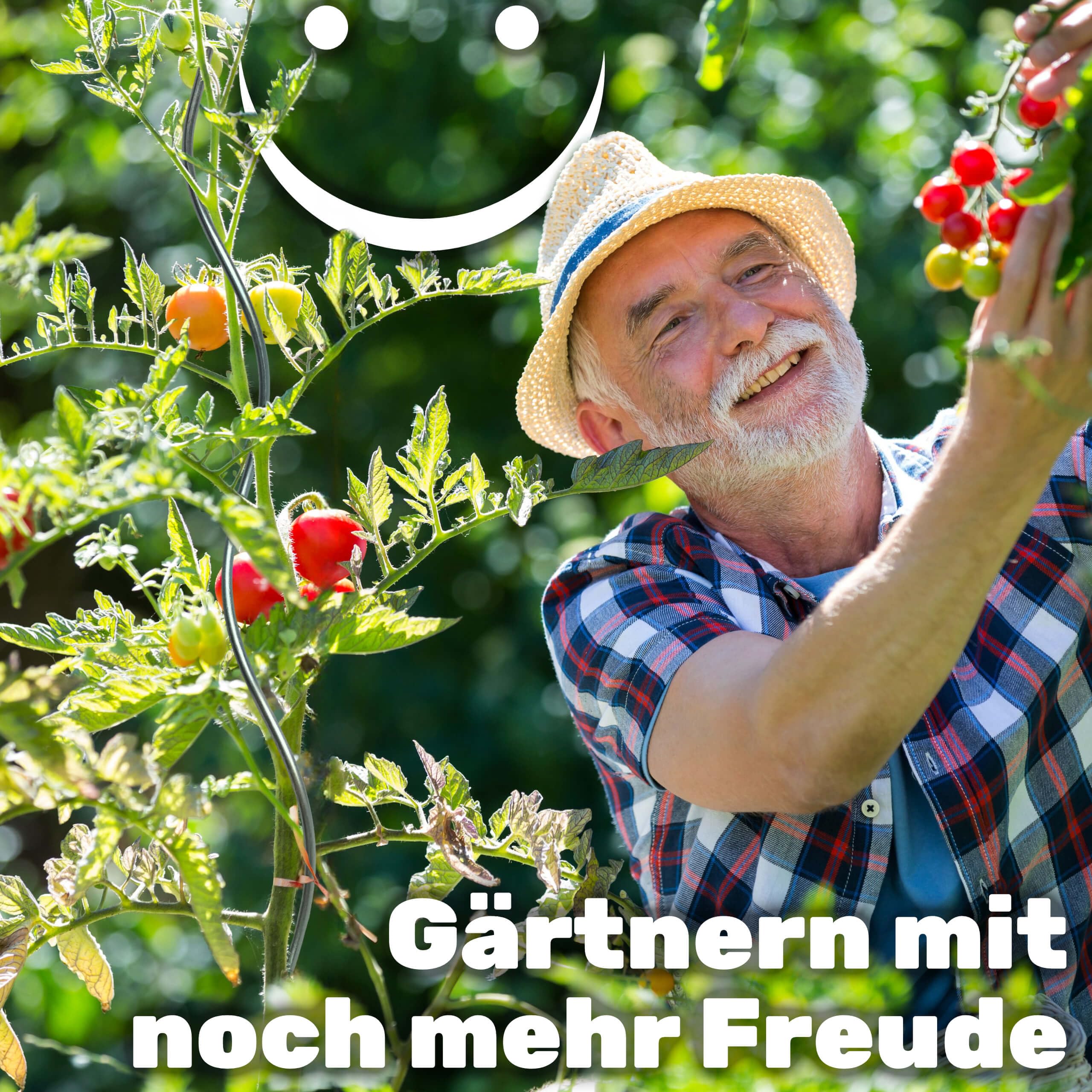 Gravidus Rankhilfe für Kletterpflanzen wie Gurken und Tomaten, Aber auch für Blumen, Rosen und andere Gartenpflanzen Höhe: ca. 110 cm aus Metall (50 Stück)
