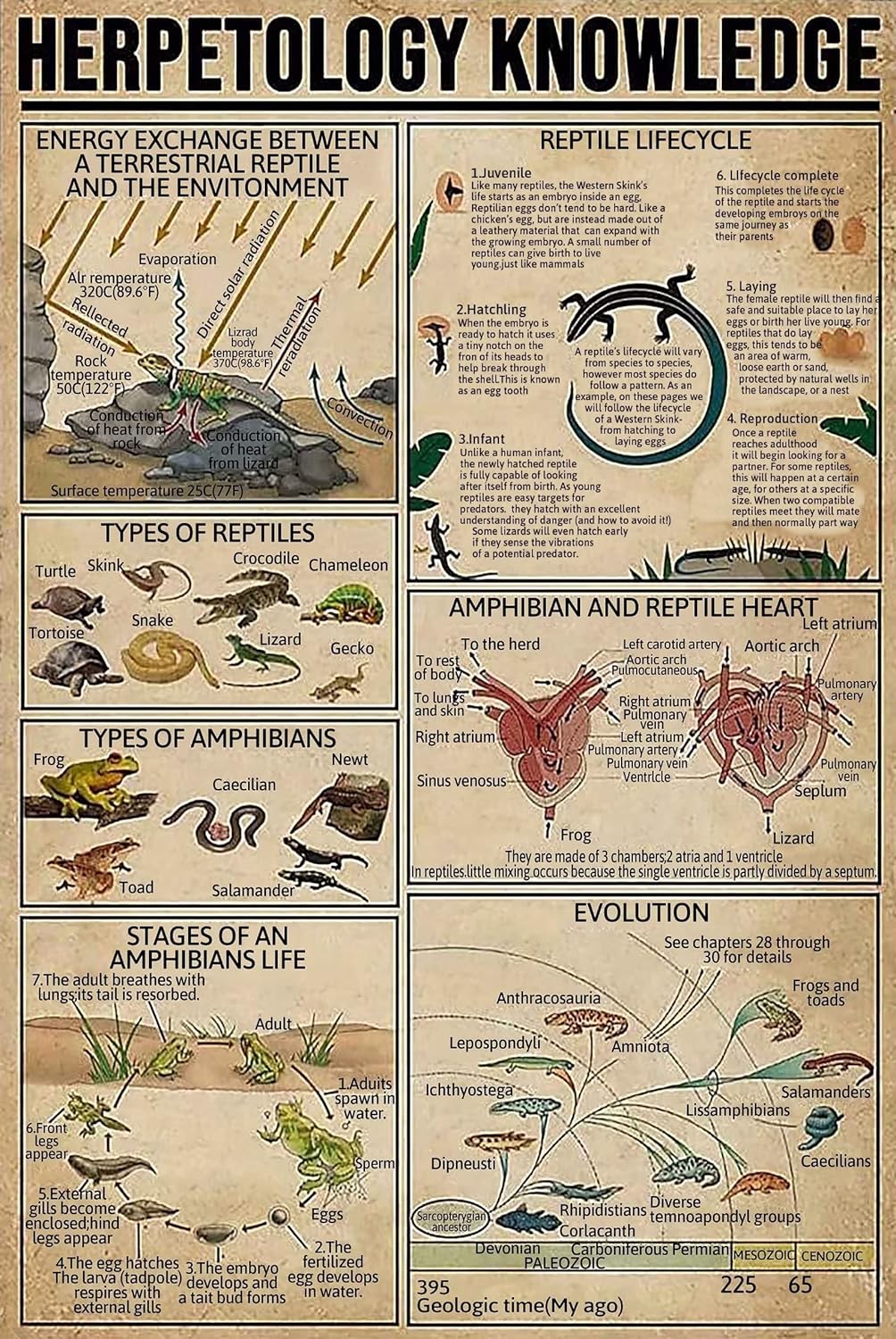 Herpetology Knowledge Metal Tin Sign Types Of Reptiles Funny Retro Poster School Education Office Living Room Kitchen Bathroom Home Art Wall Decoration Plaque Gift