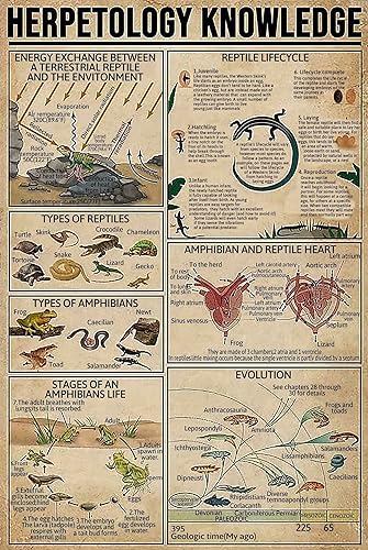 Herpetology Knowledge - Letrero de metal tipo de reptiles, divertido póster retro para escuela, oficina, sala de estar, cocina, baño, hogar, arte,