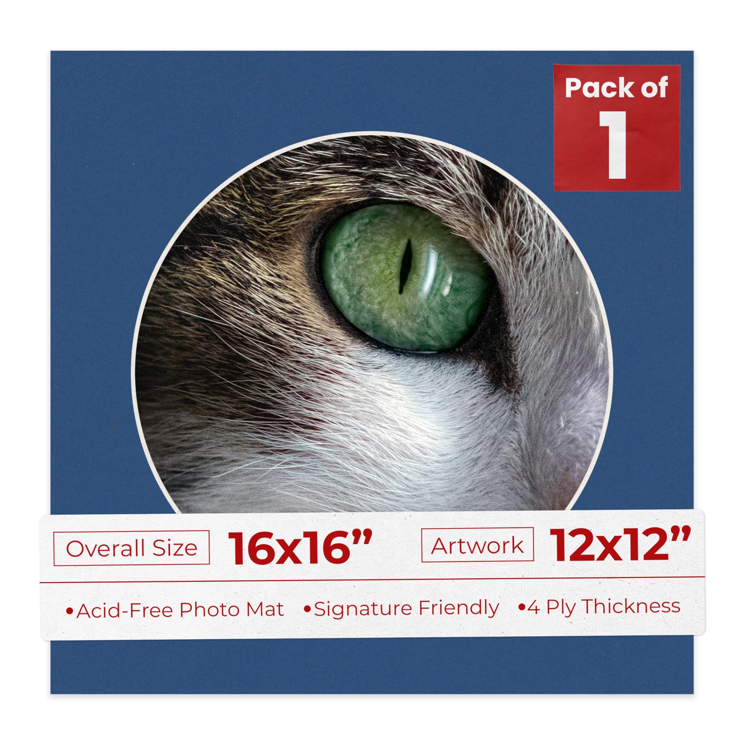 16x16 Mat Bevel Cut for 12x12 Photos - Precut Bottle Blue Circle Shaped Photo Mat Board Opening - Acid Free Matte to Protect Your Pictures - Bevel Cut for Family Photos, Pack of 1 Matboard-image-28
