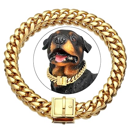 dog chains online