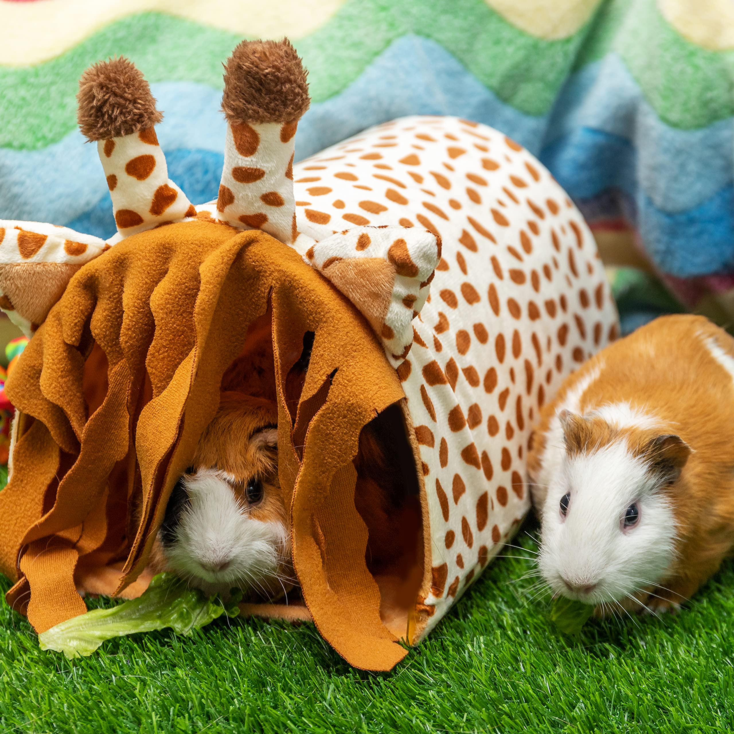 Cage Cute Guinea Pig Toys 15 Best Guinea Pig Toys Of 2023