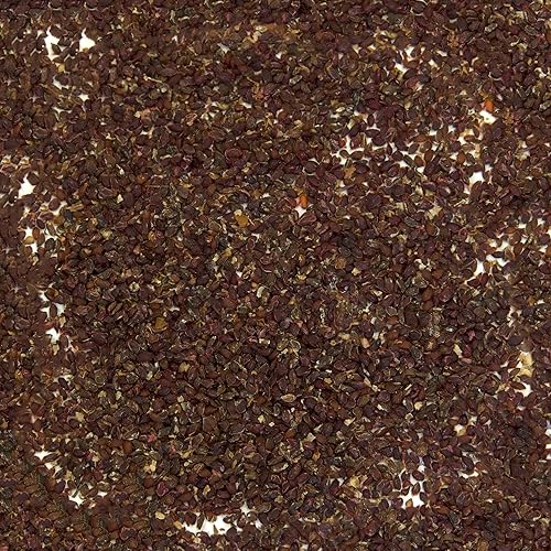 Palm Beach Medicinal Herbs - Grosella Negra Silvestre (Ribes nigrum) - Paquete de 10 Semillas