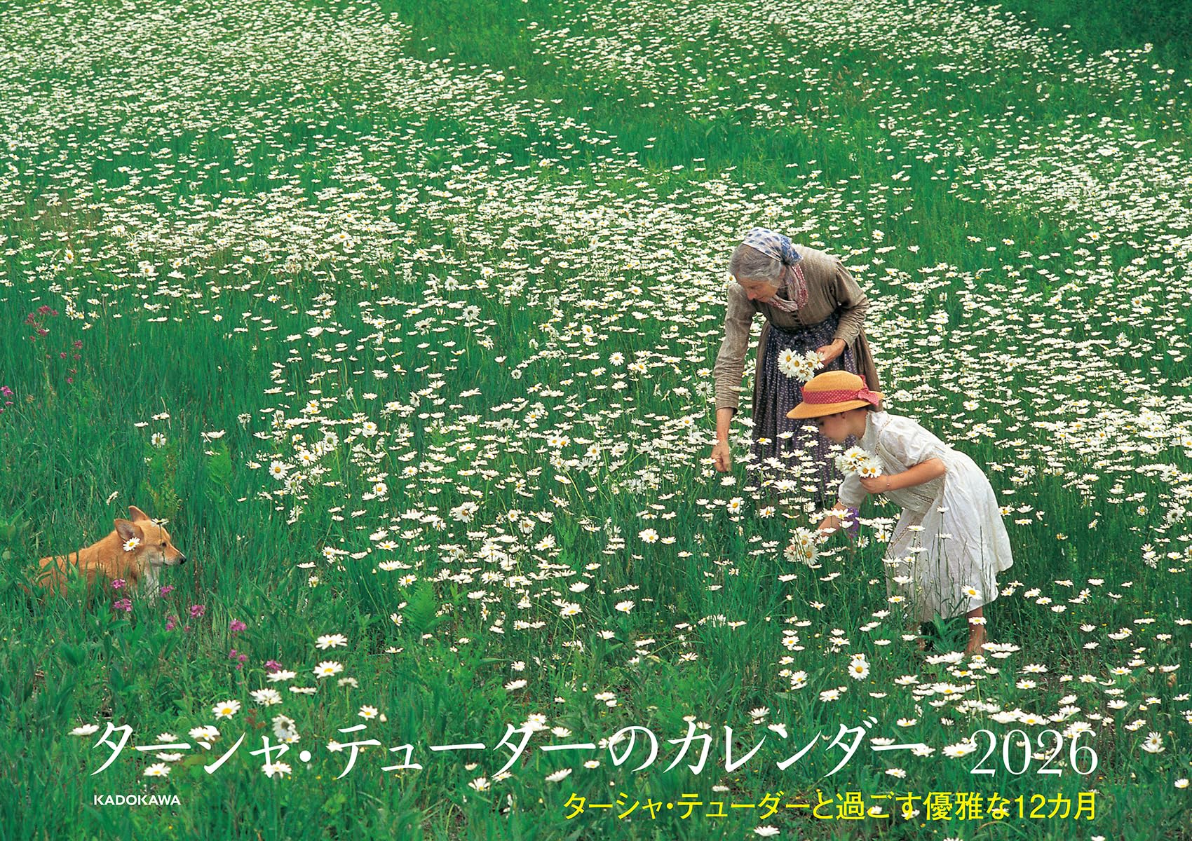 Amazon.co.jp: ターシャ・テューダーのカレンダー2026 ターシャ