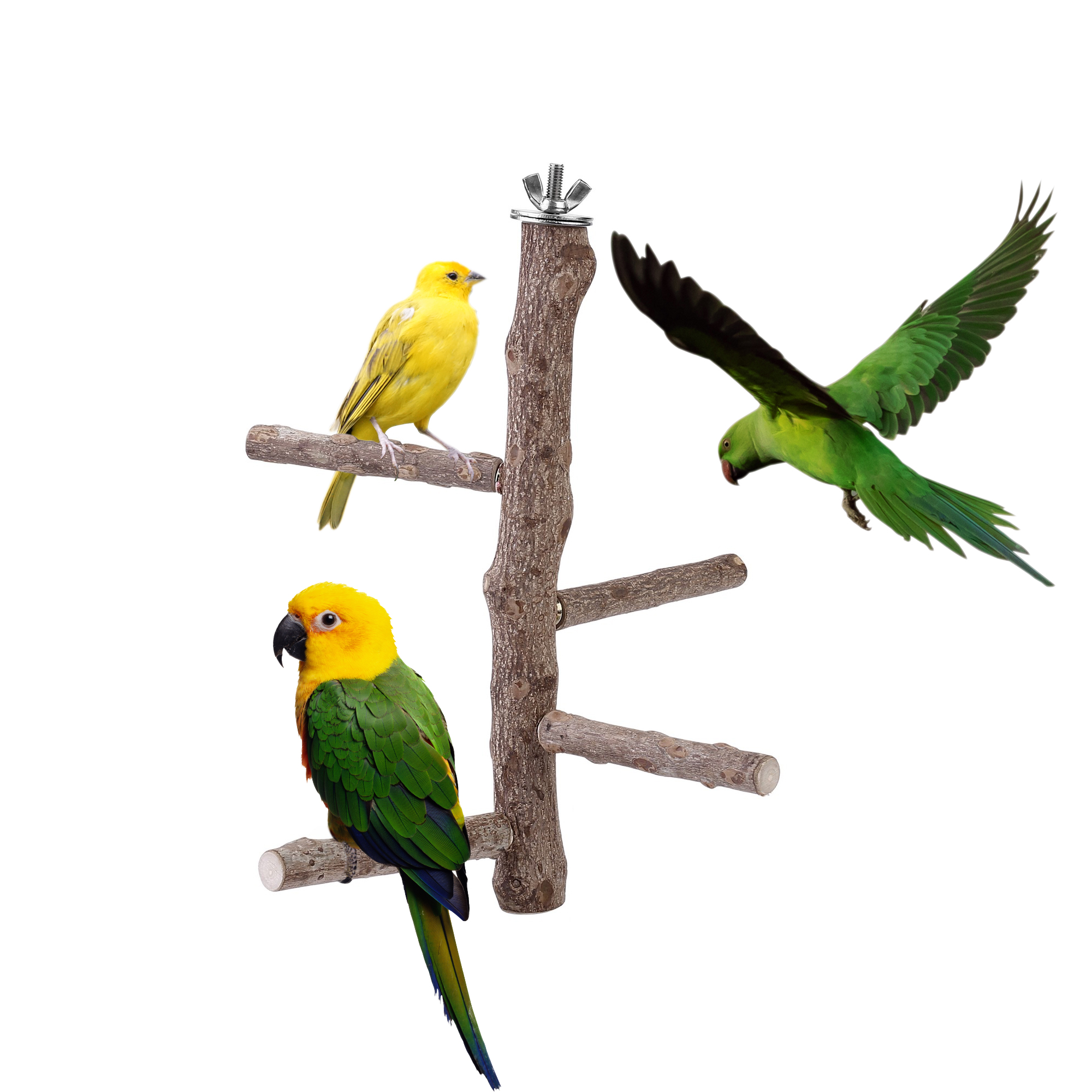 Bird Perch Stand Toy, Natural Wood Parrot Perch Bird Cage Branch Perch Accessories for Parakeets Cockatiels Conures Macaws Finches Love Birds (M: 10" Length) - image 7
