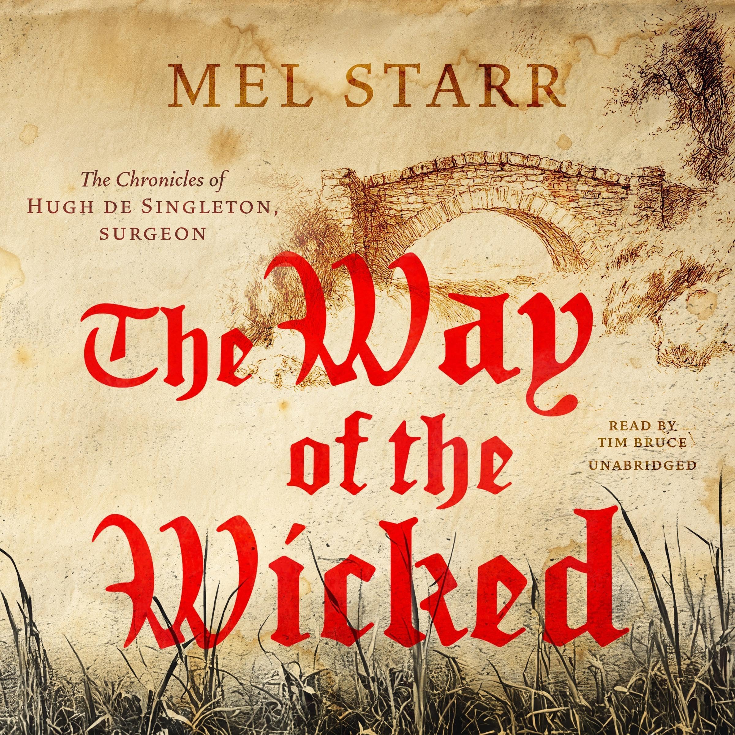 Cover art for The Way of the Wicked