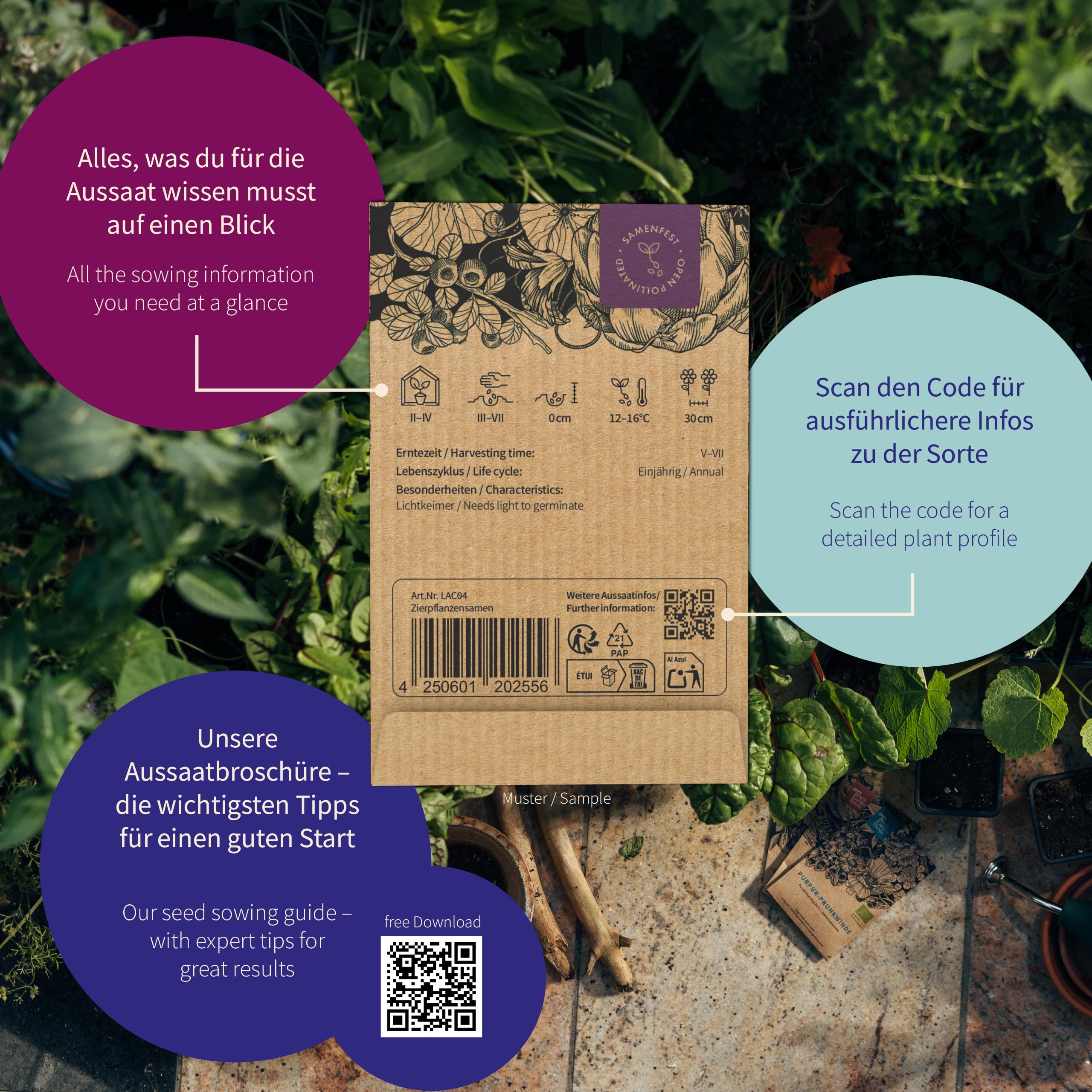 Magic Garden Seeds - Kocie zioła: kocimiętka, waleriana, szałwia muszkatołowa i trawa dla kotów – pudełko na nasiona z 4 ziołami do zabawy, gryzienia i relaksu