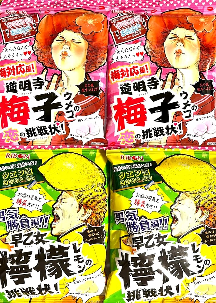 レザーのホールチョコレートケーキ♡レモンとベリー　一点モノです レザーのホールチョコレートケーキベリー系 一点モノです 1口で