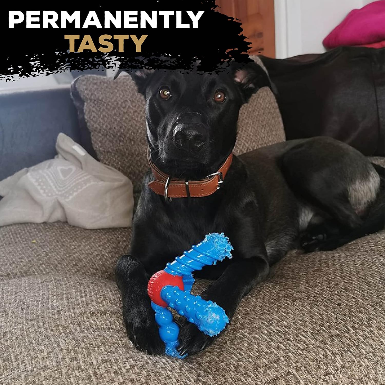 Tasty Bone QuattroBone | Nylon Dog Chew for Small Dogs (Fish & Chips Flavoured) | Exceptionally Tough, Promotes Healthy Teeth & Gums (Made in The UK from 100% Virgin Nylon)