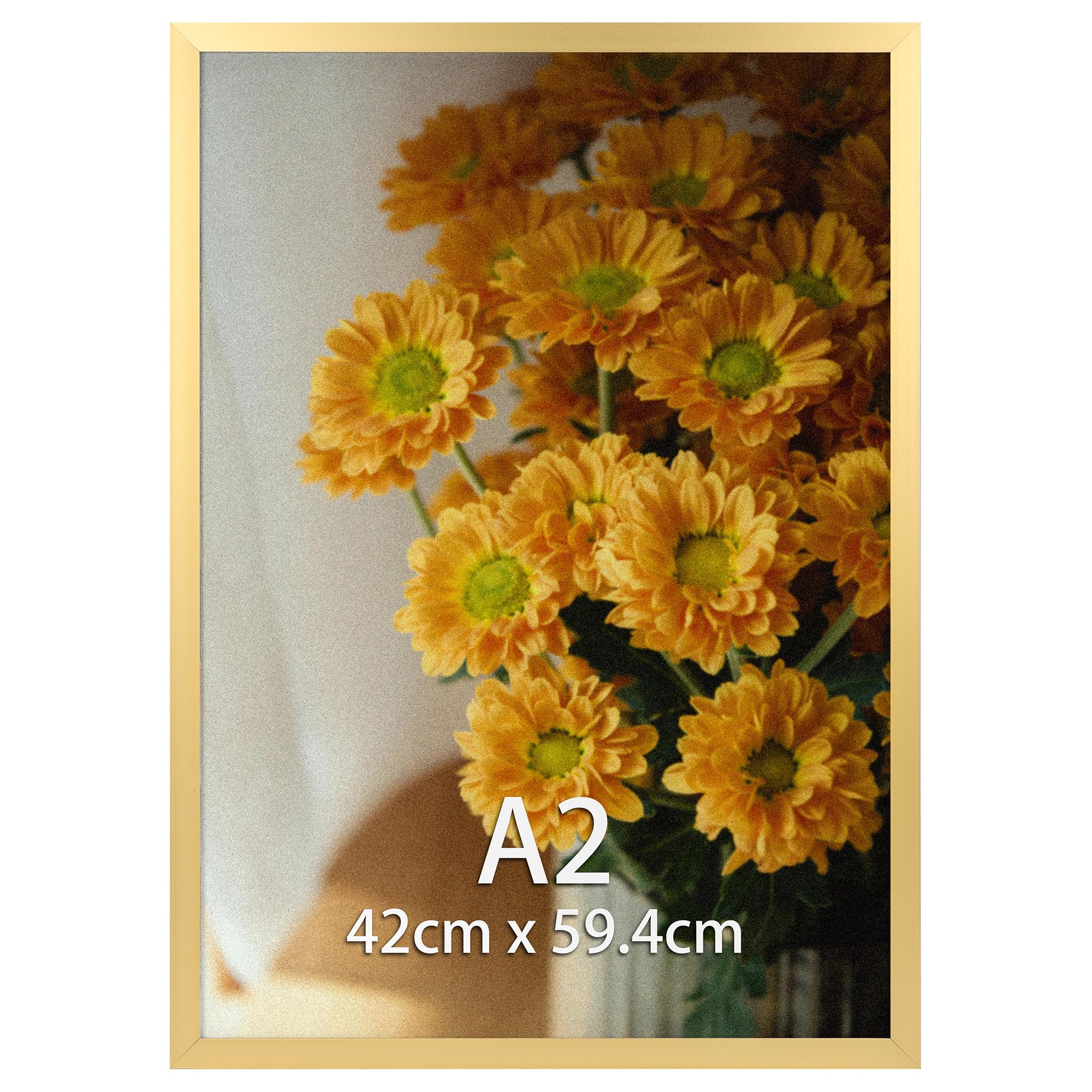 Vasemouh A2 Picture Frame Gold, Single Aluminium 42x59.4CM Poster Frame Horizontal or Vertical Wall Mounting for Home, Office, Gallery โ image 1