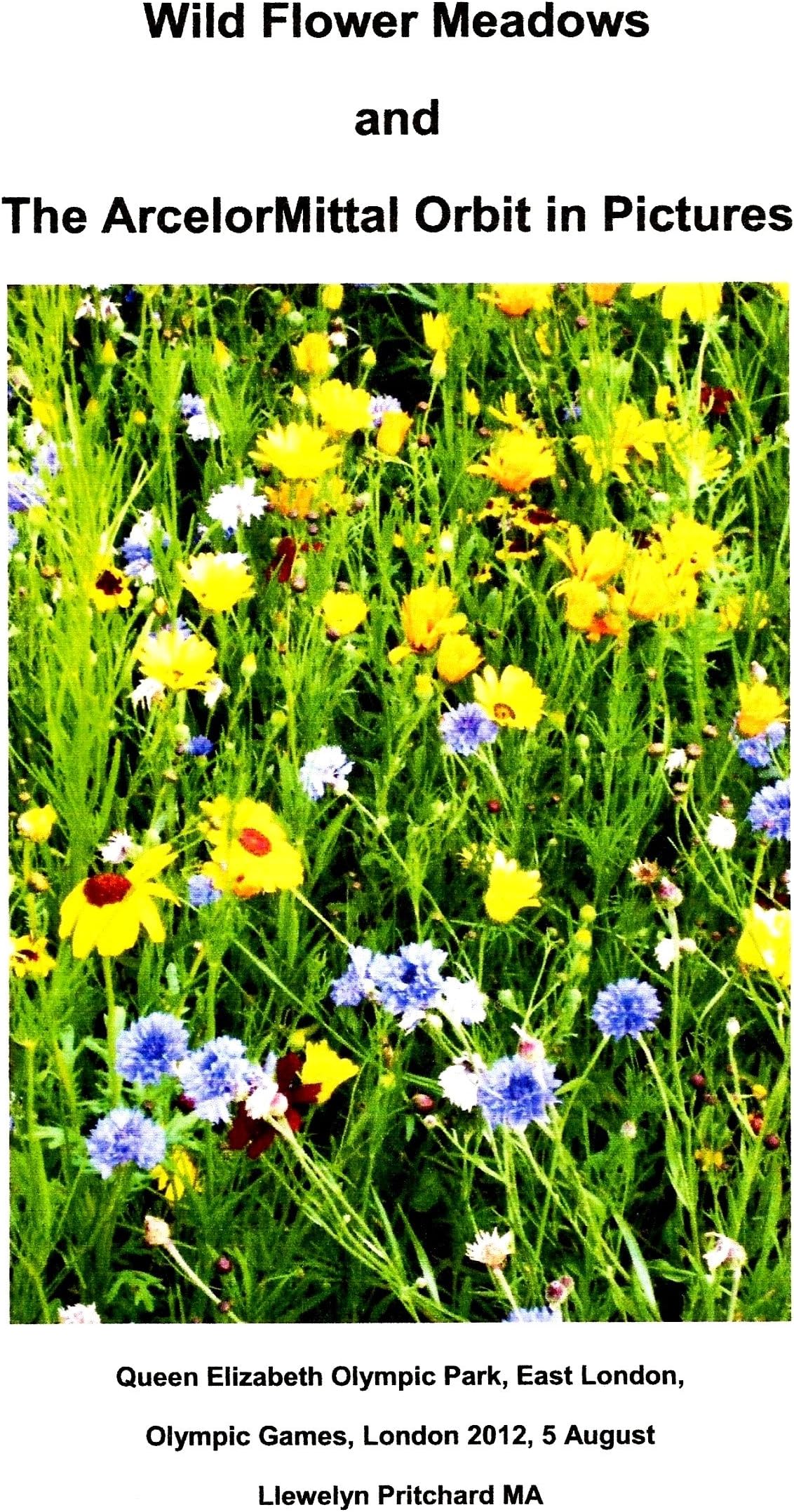 Wild Flower Meadows and The ArcelorMittal Orbit in Pictures (Albums Photo t. 18) (French Edition)