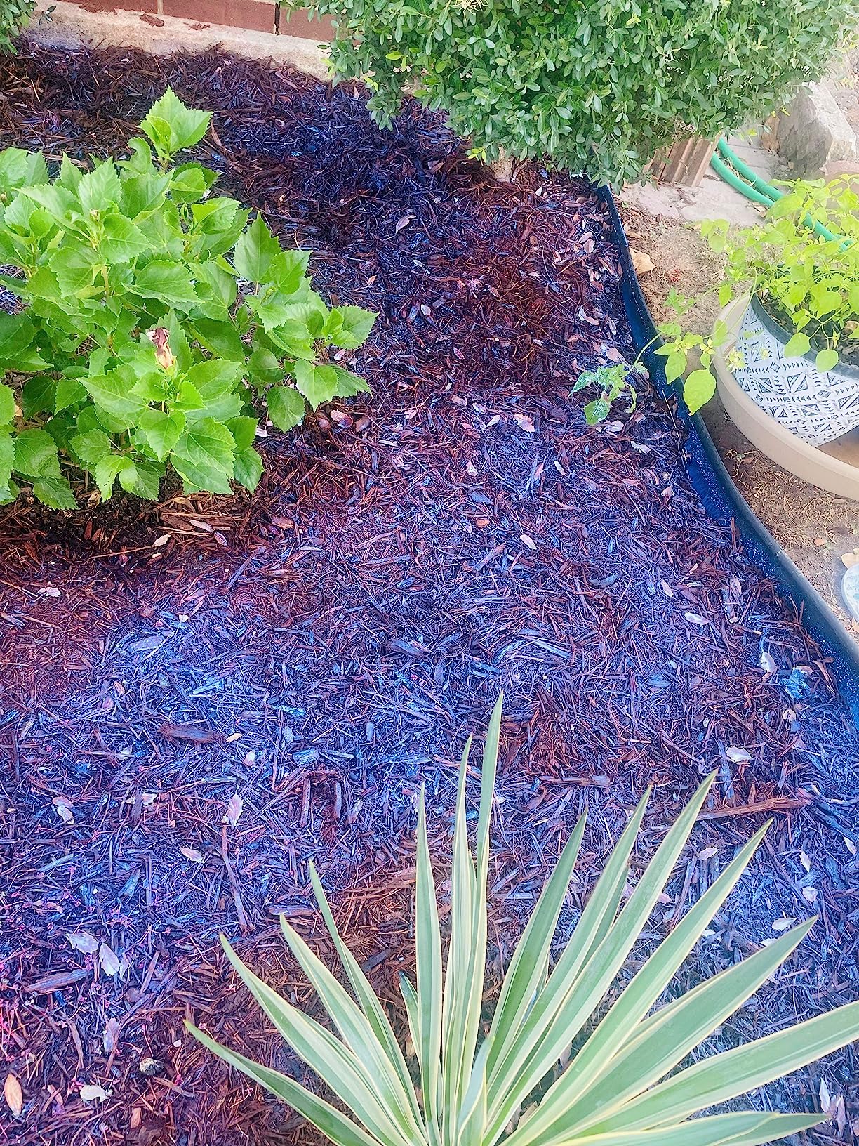 10/mo Finance Mulch Glue 1 Gallon Mulch Glue for Landscaping, Super