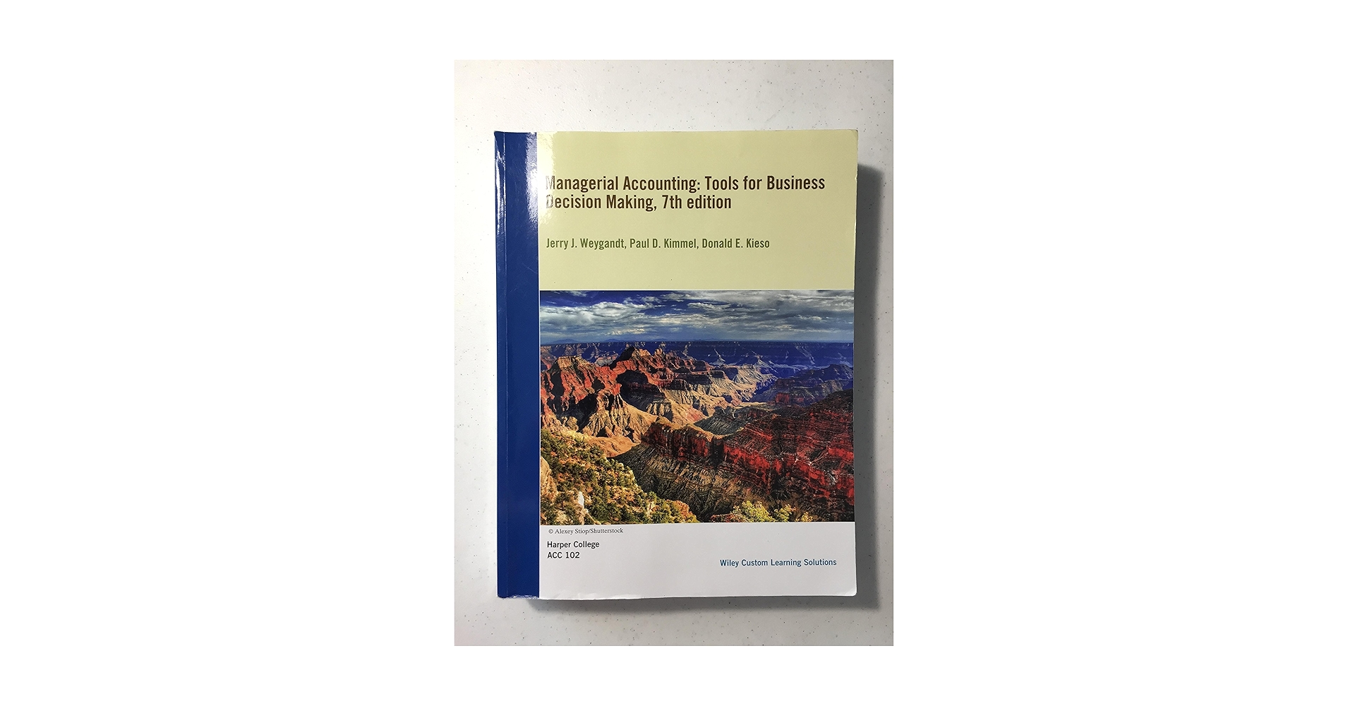 ビジネス・経済 Managerial Accounting: Decision Making