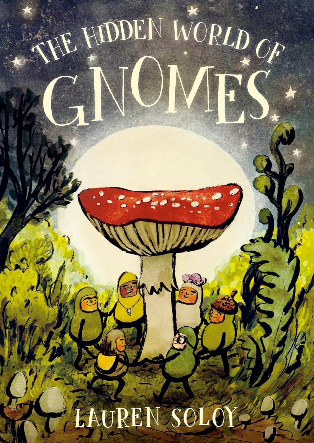 The Hidden World of Gnomes : Soloy, Lauren: Amazon.ca: Books
