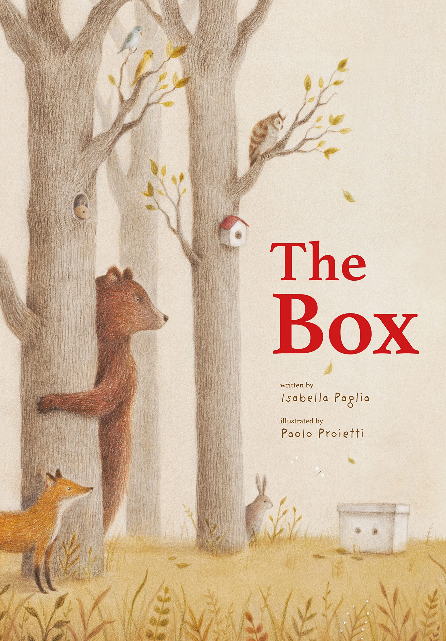 Box by Isabella Paglia (2022, Hardcover)