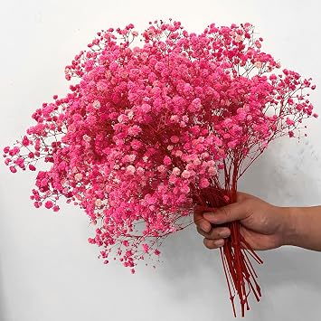 4000+ Pink-Dried-Babys-Breath-Flowers-Bouquet, 17.2In Pink Flower, Natural Gypsophila Branches for Wedding, Valentines Day, Dry Flowers Bulk for Vase, Home Party Decor, DIY Wreath Floral