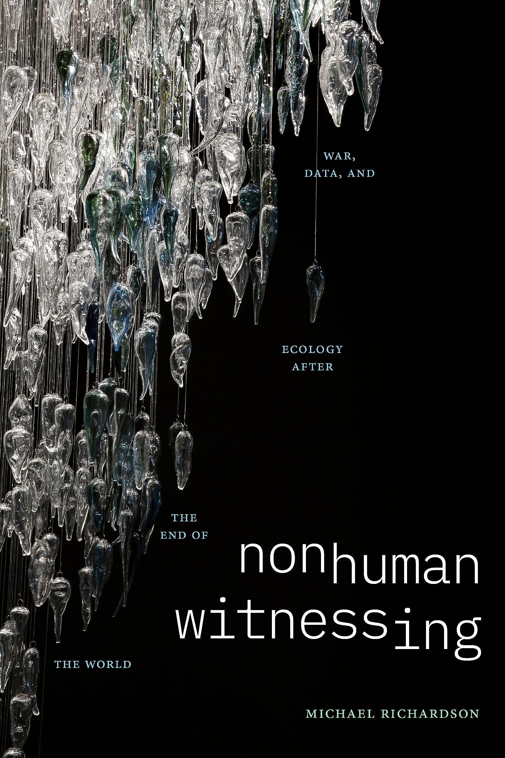 Nonhuman Witnessing by Michael Richardson (Paperback Book)